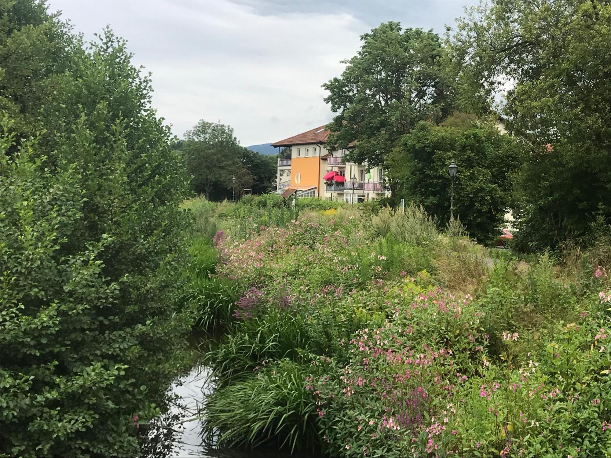Ferienresidenz Am Weissen Regen Διαμέρισμα Kötzting Εξωτερικό φωτογραφία